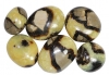 Septaria Tumbled Stones XL (Pebbles)