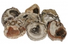 Petrified wood slices, Madagaskar