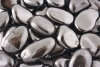 Hmatite pierres roules taille M, B qualit