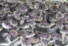 Amethyst pieces Brazil