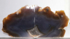 Serre-livres Agate, Paire No. BE6