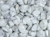 Howlite (Magnesite) Tumbled Stones Africa (LOT2)
