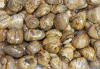 Picture Jasper Tumbled Stones Africa (LOT4)
