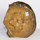 Agate de Rivire (naturel poli) No. 39 avec base