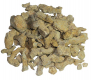 Fragments de corail fossiliss