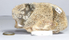 Dinosaur Bone Slice No. 51