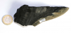 Megalodon Zahn Nr. 121