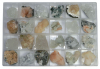 Kiste Zeolithe und Mineralien aus Indien