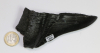 Megalodon Tooth No. 147