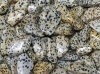 Dalmation Jasper Tumbled Stones Mexico