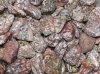 Jaspe Lopard (Rhyolith) pierres roules