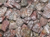 Leoparden-Jaspis (Rhyolith) Trommelsteine Brasilien