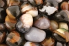 Sardonyx Trommelsteine Indien