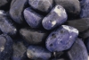 Sodalite pierres roules Brsil