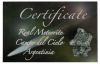 Certificate Meteorites