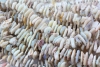 Loose Beads strand of Opal approx 42 cm