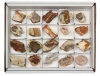 Box petrified Wood (20 pieces)