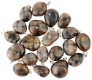 Pendentif Argent 925 Chiastolite