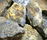 Stromatolite pierres brutes