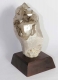 Elestial (Jacar-) Quartz No. EQ1